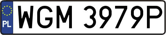 WGM3979P