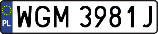 WGM3981J