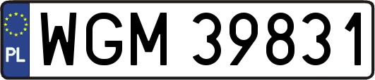 WGM39831