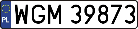 WGM39873
