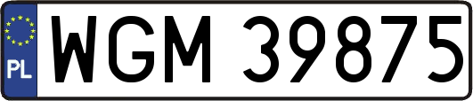 WGM39875