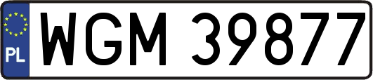 WGM39877