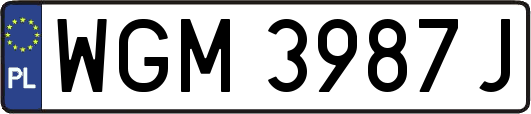 WGM3987J