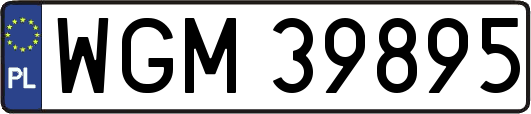 WGM39895