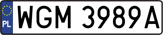 WGM3989A