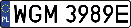 WGM3989E
