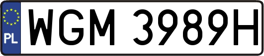 WGM3989H