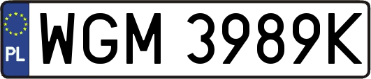 WGM3989K