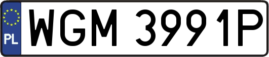 WGM3991P