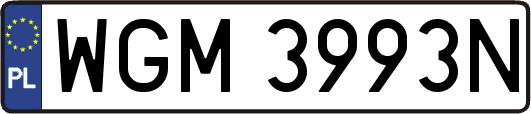 WGM3993N
