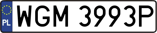 WGM3993P