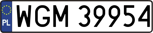 WGM39954