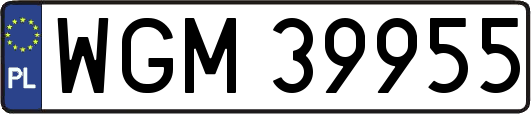 WGM39955