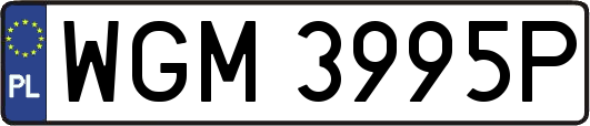 WGM3995P
