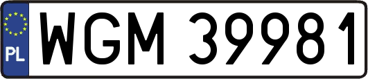 WGM39981