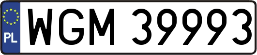 WGM39993