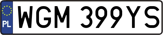 WGM399YS