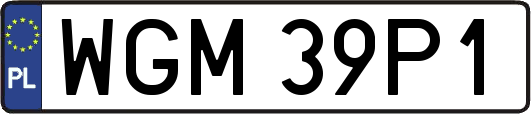 WGM39P1