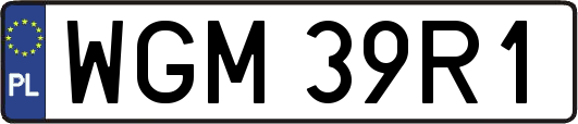 WGM39R1