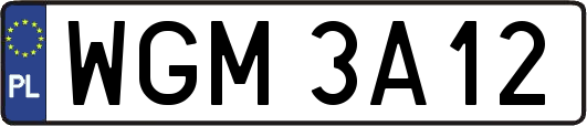 WGM3A12