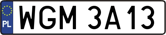WGM3A13
