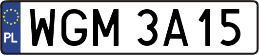 WGM3A15