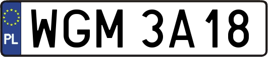 WGM3A18