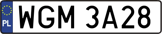 WGM3A28