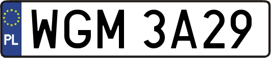 WGM3A29