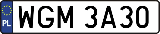 WGM3A30