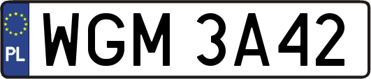 WGM3A42