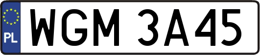 WGM3A45