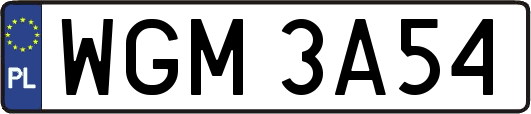 WGM3A54