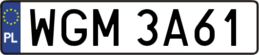 WGM3A61