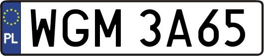 WGM3A65