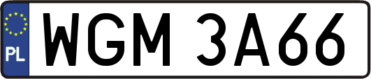 WGM3A66
