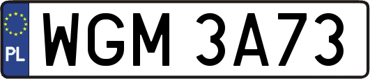 WGM3A73
