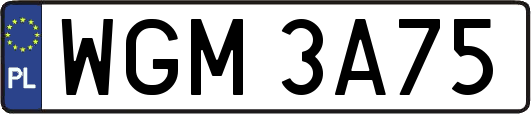 WGM3A75