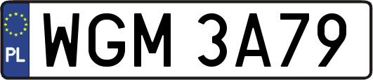 WGM3A79