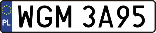 WGM3A95