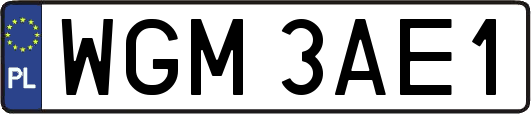 WGM3AE1