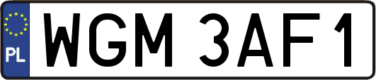 WGM3AF1
