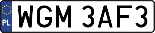 WGM3AF3