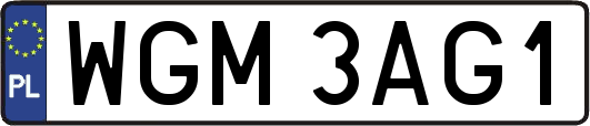 WGM3AG1