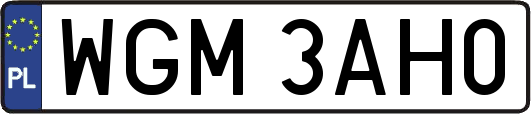 WGM3AH0