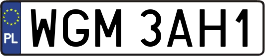 WGM3AH1
