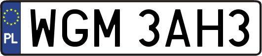 WGM3AH3