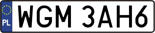 WGM3AH6
