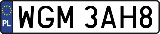 WGM3AH8