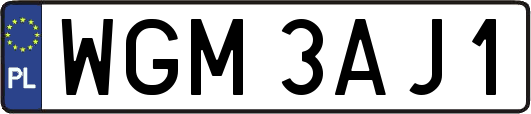 WGM3AJ1